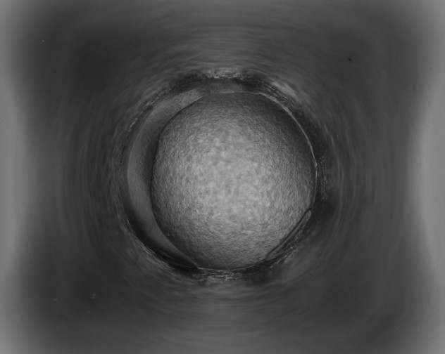 X0000084531345200703021411