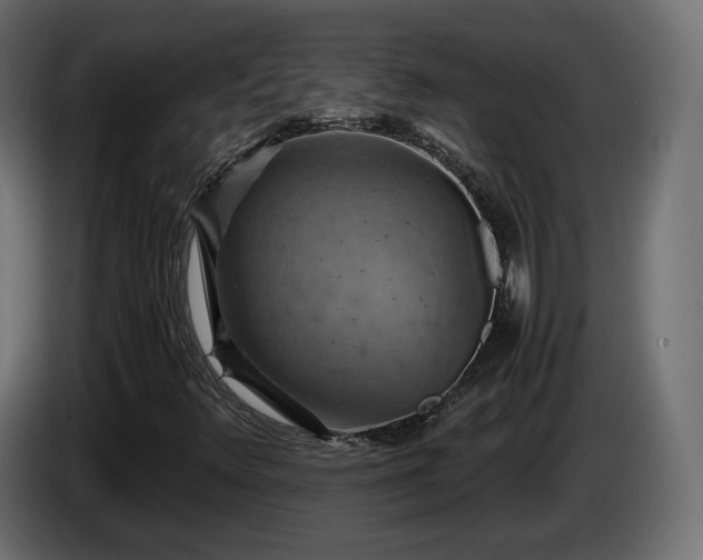 X0000084531348200703021411