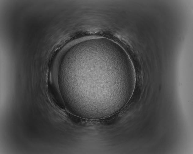 X0000084531349200703021411
