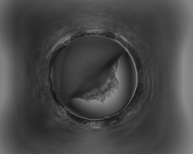 X0000084531351200703021411