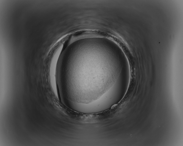 X0000084531352200703021411