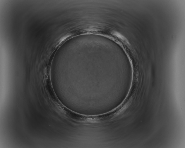 X0000084531353200703021411