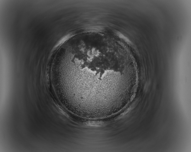 X0000084531354200703021411