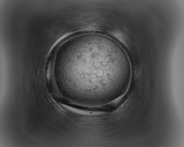 X0000084531356200703021411