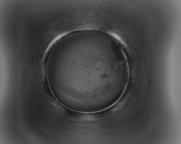 X0000084531358200703021411