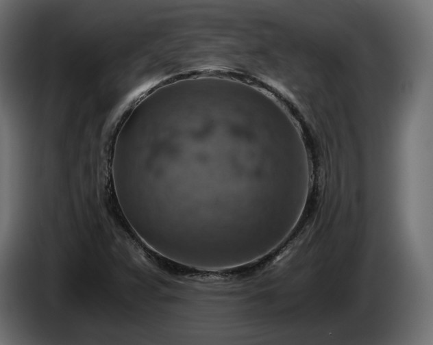 X0000084531359200703021411