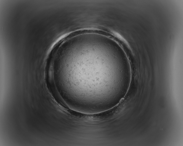 X0000084531360200703021411