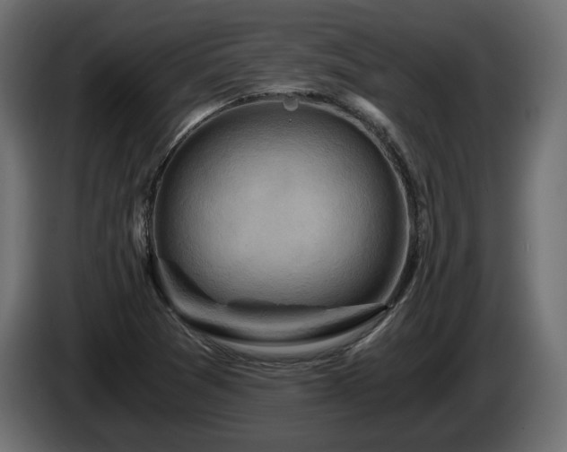 X0000084531361200703021411