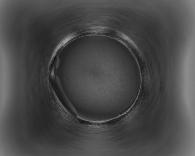 X0000084531362200703021411