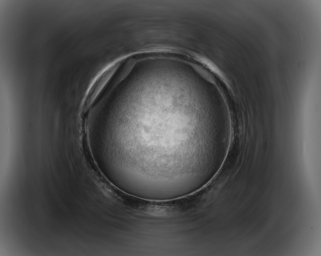 X0000084531364200703021411