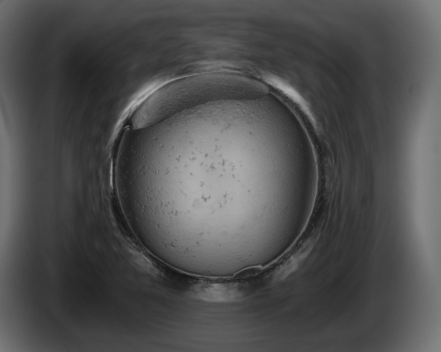 X0000084531365200703021411