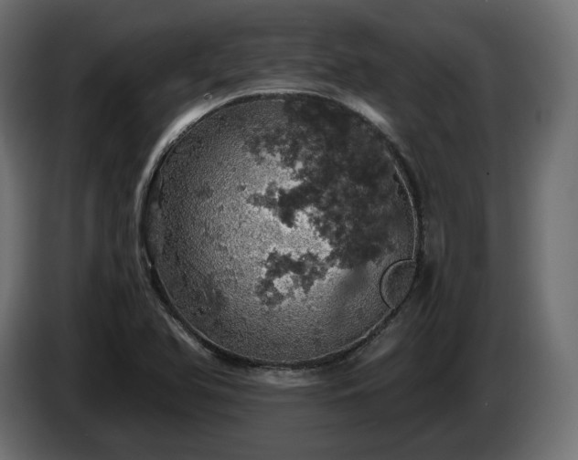 X0000084531366200703021411