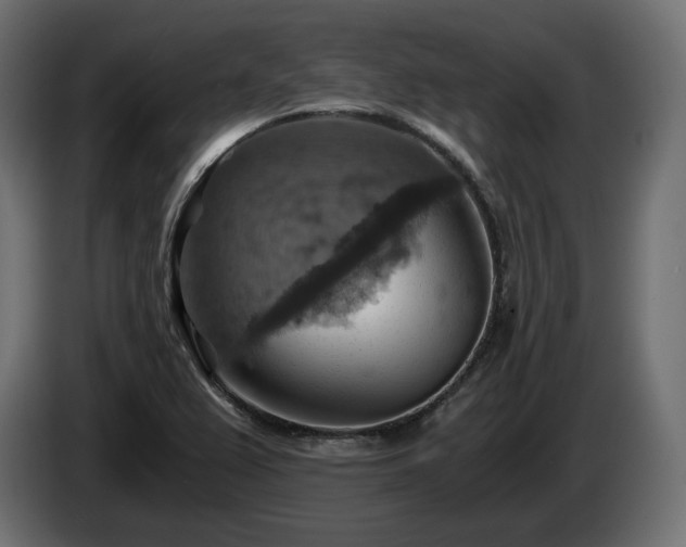 X0000084531367200703021411