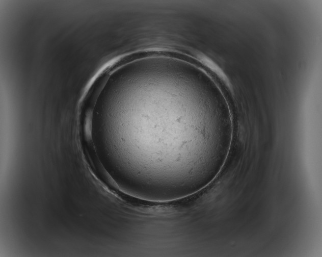 X0000084531368200703021410