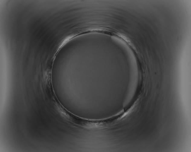 X0000084531369200703021410