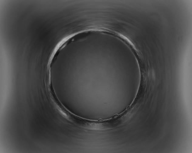X0000084531371200703021410