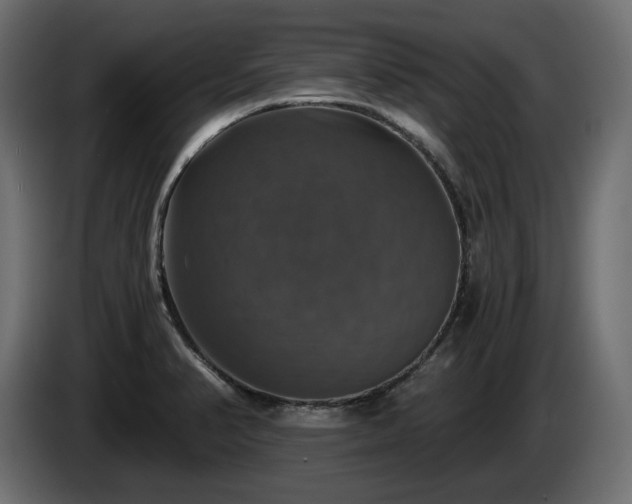X0000084531374200703021410