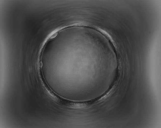X0000084531375200703021410