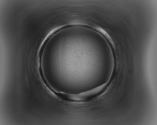 X0000084531376200703021410