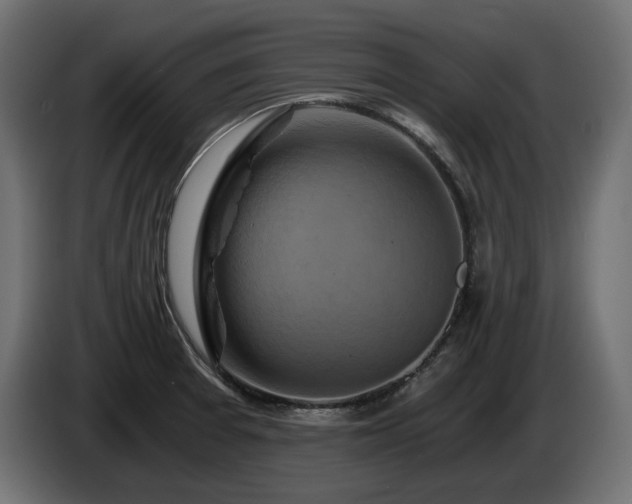 X0000084531377200703021410