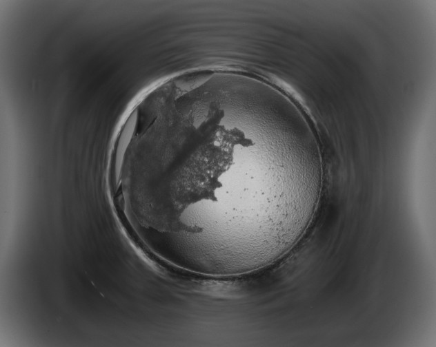 X0000084531379200703021410