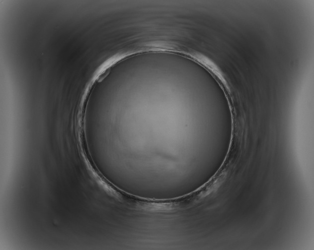 X0000084531381200703021410
