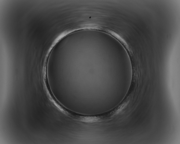 X0000084531383200703021410