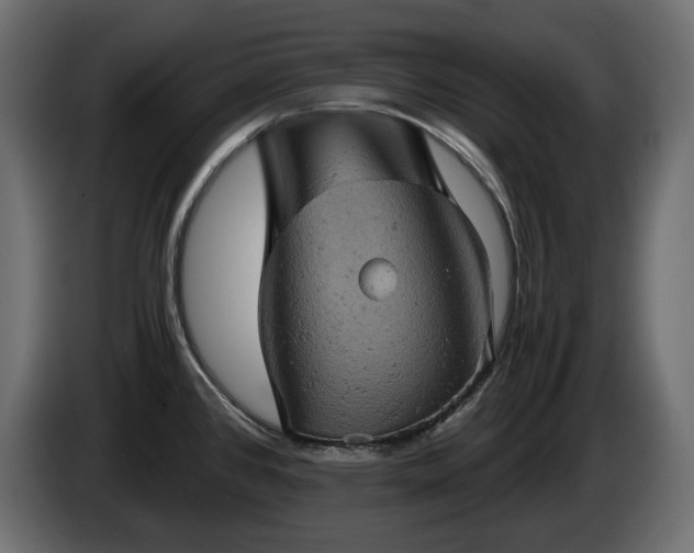 X0000084531384200703021410