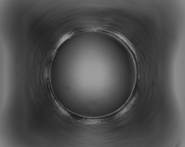 X0000084531385200703021410