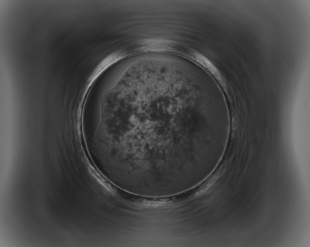 X0000084531386200703021410