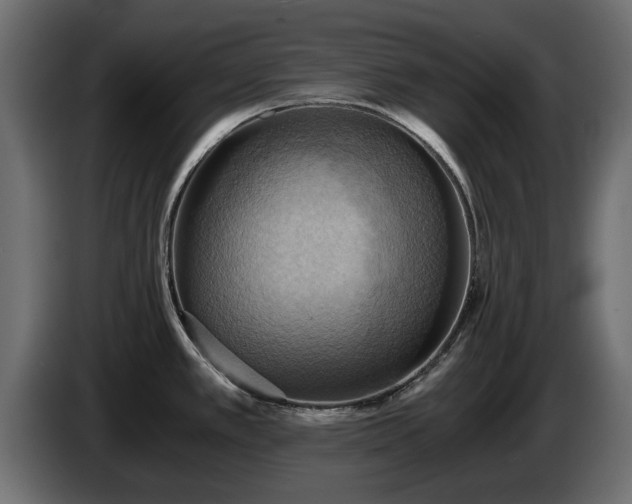 X0000084531389200703021410