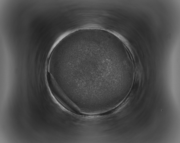 X0000084531390200703021410