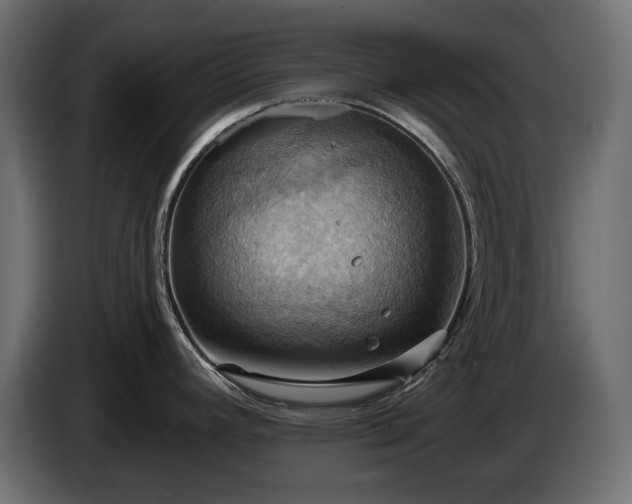 X0000084531392200703021410
