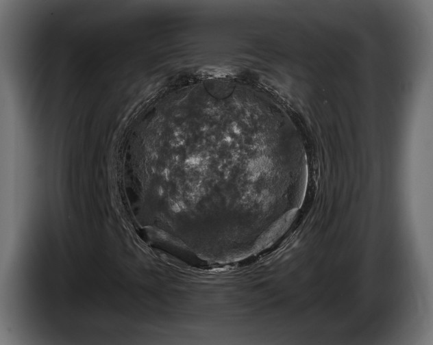 X0000084531393200703021409