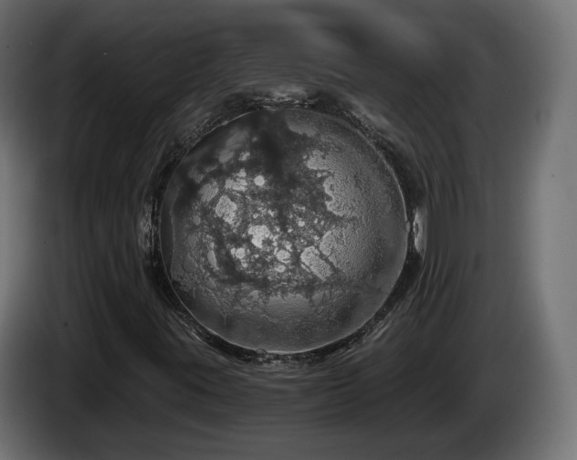 X0000084531395200703021409