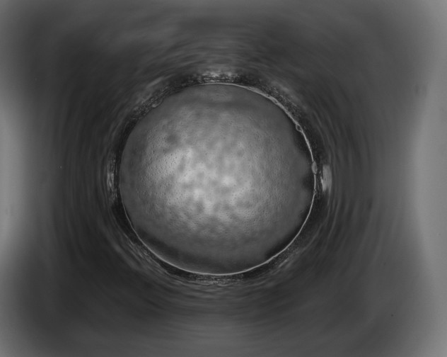 X0000084531396200703021409