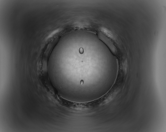 X0000084531398200703021409