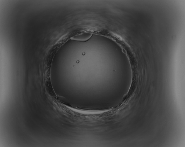 X0000084531399200703021410
