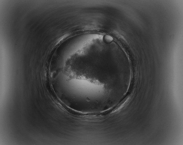 X0000084531401200703021410
