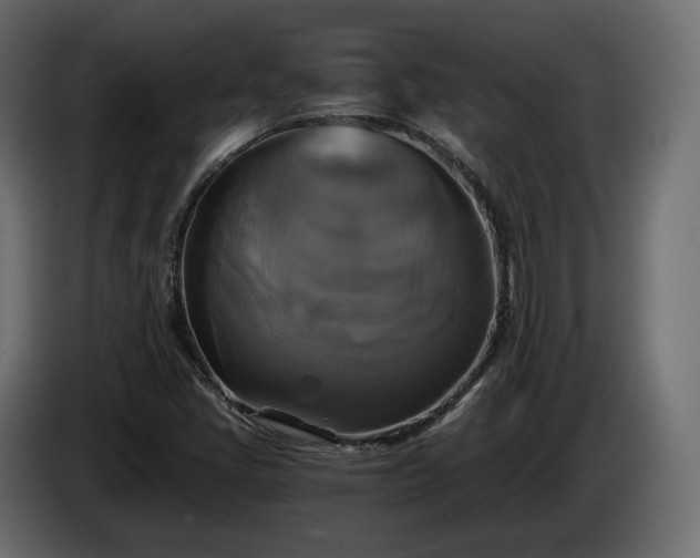 X0000084531405200703021410