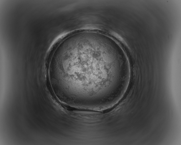 X0000084531408200703021410