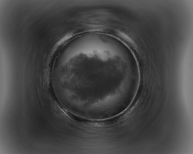 X0000084531411200703021410
