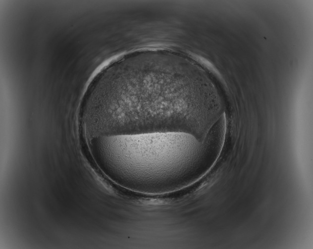 X0000084531412200703021410