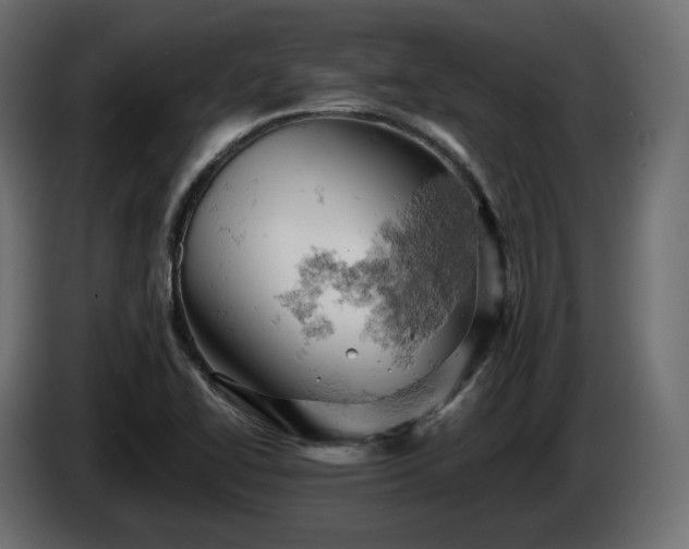 X0000084531414200703021410