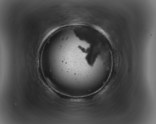 X0000084531415200703021410