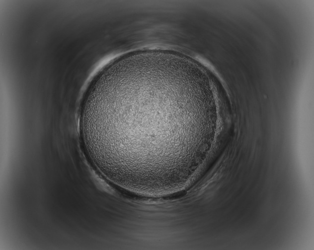 X0000084531416200703021410