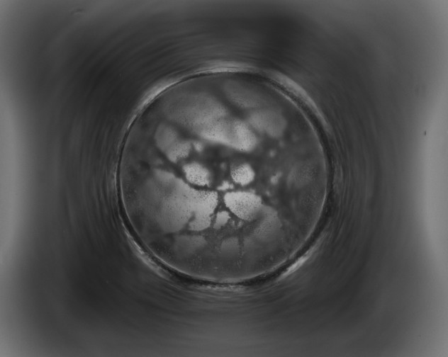 X0000084531417200703021410