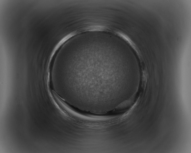 X0000084531418200703021410
