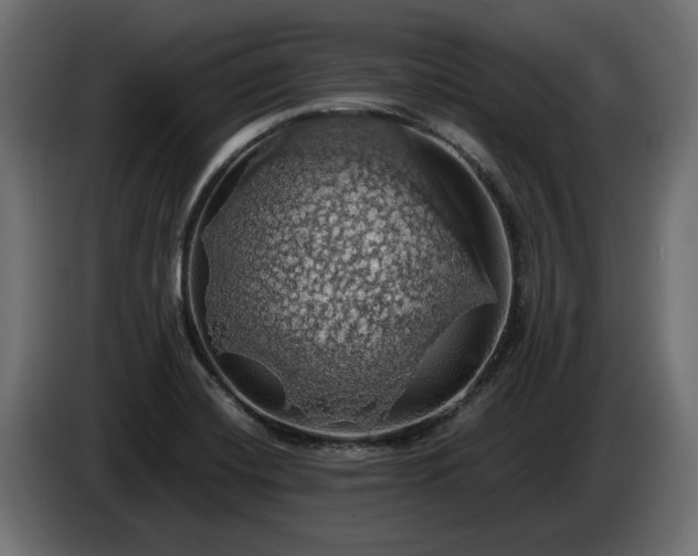 X0000084531420200703021410
