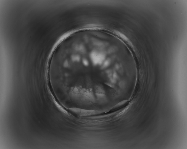 X0000084531421200703021410